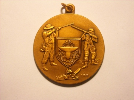 Help?--Picked-This-Up-At-A-Yard-Sale-Id:-Late-20th-Century-Shooting-Medal